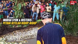 Sulawesi Geger!! Petani Ditemukan di Dalam Perut Ular Piton Raksasa, Warga Syok Saat Membelahnya...