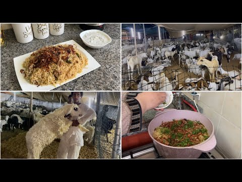 Mama k ghusse ki waja se aj hum sab ki ayi shaamat😱mein 2din chutti pe ja rhi hn | Deighi Beef pulao