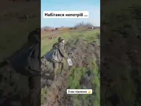 Набігався лапоть …