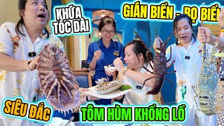 Gián Biển Siêu Đắc Đỏ và Tôm Hùm Úc Khổng Lồ Đắc Nhất VN! - Hải Sản Độc Lạ VN - Khoa Pug Lột Sác =))