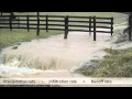 Watershed Management and Runoff Effects