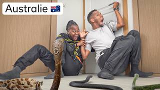 ⚠️ DANGEREUX D’ALLER EN AUSTRALIE 🇦🇺 ⚠️