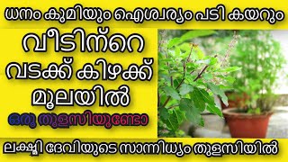 ഒരു തുളസിയുണ്ടോ വീടിന്റെ വടക്ക് കിഴക്ക് മൂലയില്‍ | Malayalam Jyothisham Astrology Malayalam |