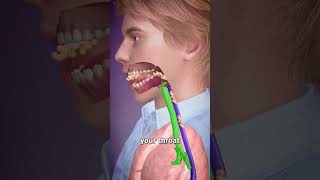 જમતી વખતે બોલવું નહીં