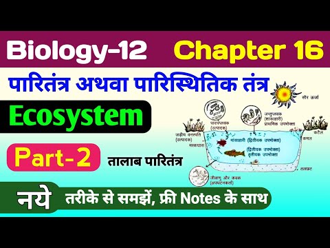 Biology class 12 chapter 16 | ecosystem in hindi | paritantra class 12th biology | तालाब पारितंत्र