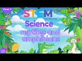 Reptiles and Amphibians Knowledge Check