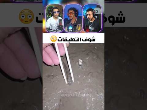 شوف تعليقات 😅 #الهربة #ضحك