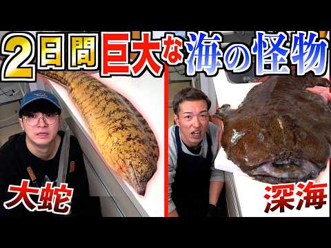 【2日間】『ウツボvsアンコウ』海の怪物捌いて生活！？深海魚vs海のギャング