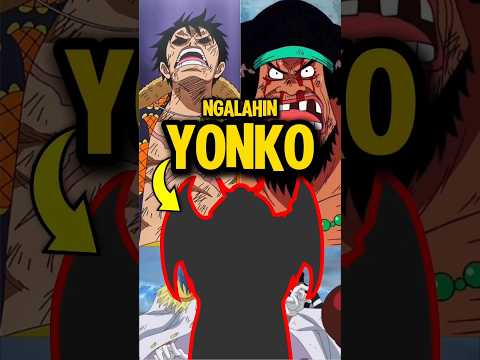 3 YONKO Pernah KALAH Sama Karakter Ini! #onepiece #animeindo