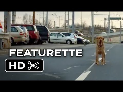 White God Featurette - The Story (2014) - Drama Movie HD