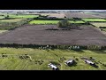 Vista previa de miniatura