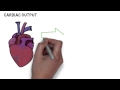 Exploring the Role of the Cardiovascular System in Exercise