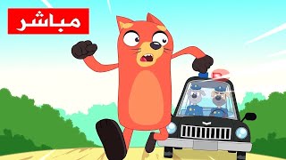 قناة أسرتنا مباشر للاطفال والصغار | أغاني تعليم الأطفال | 🔴 Live |