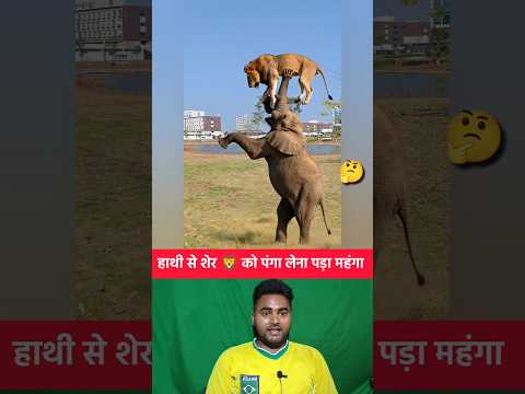 हाथी 🐘 से शेर 🦁 को पंगा लेना पड़ा महंगा 🤔 #shorts #elephant #lion #animal #shortvideo #viralvideo