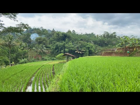 Sungguh Indah Alam Desanya