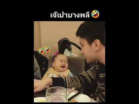 #เป่าเปา #บี้ #กุ๊บกิ๊บ