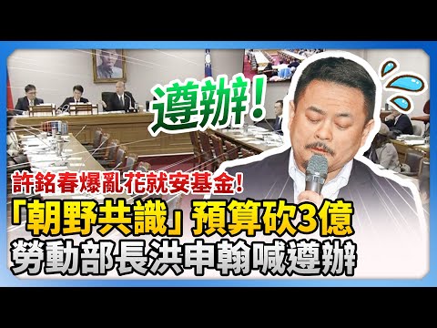 許銘春爆亂花就安基金！｢朝野共識」預算砍3億　勞動部長洪申翰喊遵辦 @ChinaTimes