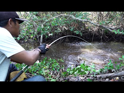 Spot mancing ini adalah terminalnya ikan dirawa #SG-440