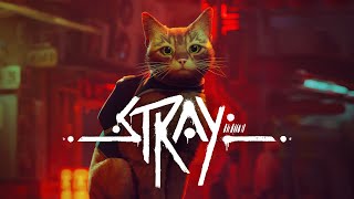 REVIEW: Stray