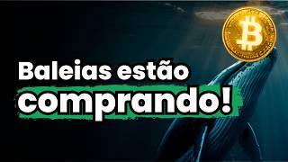 Bitcoin (BTC): baleias comprando — VAI SUBIR? + ethereum (ETH), Solana (SOL), XRP, criptomoedas