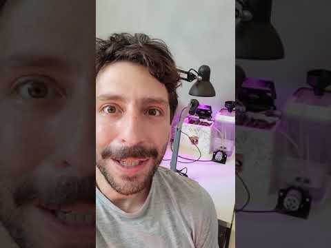 İnternete Bağlanmış Bir Bitki: Suku #shorts