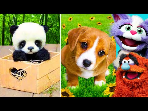 CUTEST TIKTOK ANIMALS That Will Make You Laugh (Compilation) | Preston & Brianna FUNNY!