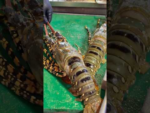 Double Giant Lobster BBQ #food #seafood #lobster #thailand