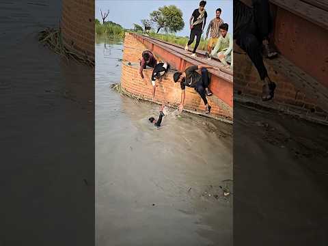 Yaar Tera Pyar Hai Meri Zindagi 😍 #short #viral #song