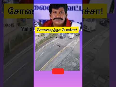 சோணமுத்தா போச்சா#shortsvideo #shorts #shortvideos #shorts #shortvideo #shortsfeed #shortsviral