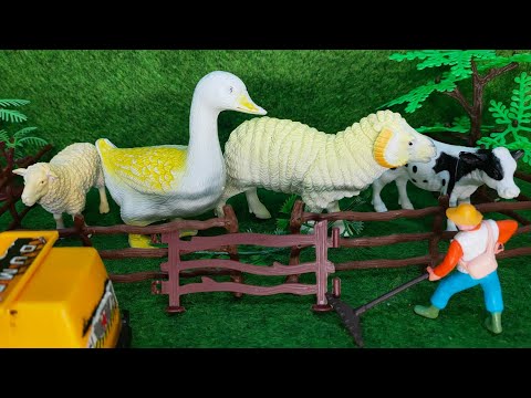 Truk oleng muat sapi kambing angsa bebek | suara sapi kambing bebek lucu