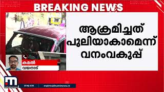 വന്യജീവി ആക്രമണത്തിൽ വിദ്യാർഥിക്ക് പരിക്ക്; ആക്രമിച്ചത് പുലിയെന്ന് സംശയം | Wayanad | Wild Animal