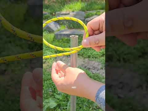 위대한 매듭, Contrictor knot