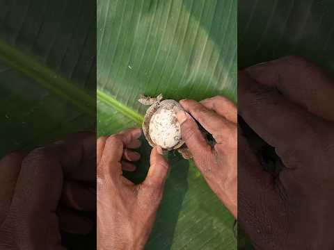 আজ আমি ডিম পোড়া খেলাম🔥🤮 #minivlog #shorts #tending