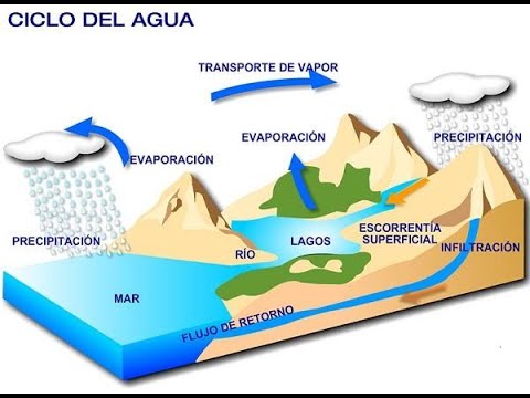 El ciclo de la lluvia