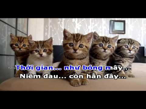 bạc tình (karaoke)