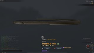 Fisher Online: Италия, угорь