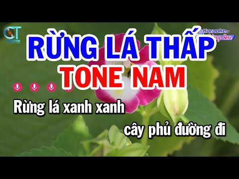 Karaoke Rừng Lá Thấp Tone Nam ( Bbm )  Nhạc Sống Hay Nhất || Karaoke Đồng Sen