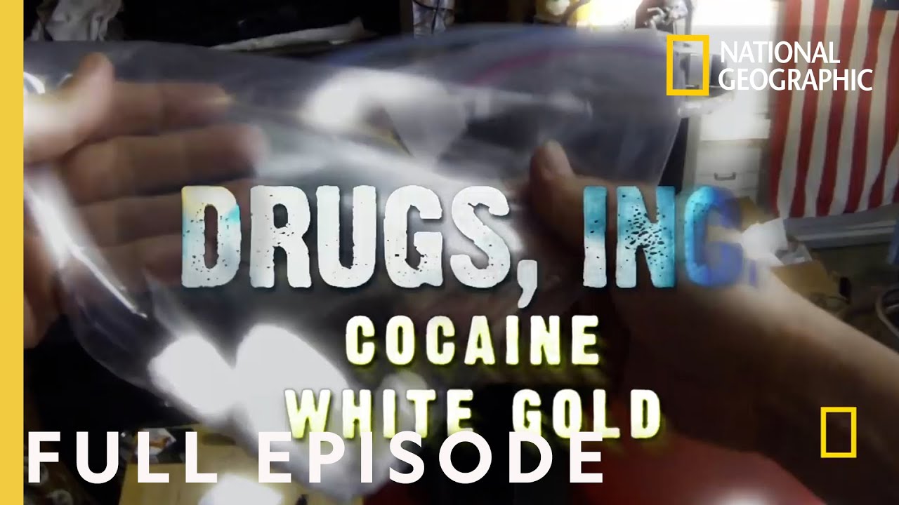Cocaine White Gold | Drugs, Inc.