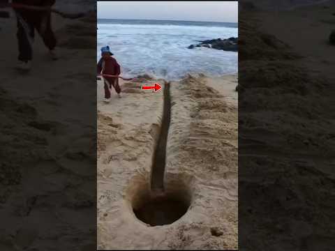 Don't Make Mistake Like This At The Beach #shorts