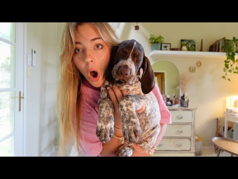 I GOT A PUPPY VLOG!!!!