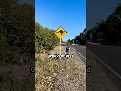 Our favorite stops along the #greatoceanroad #roadtrip #australia #exploreaustralia #travel
