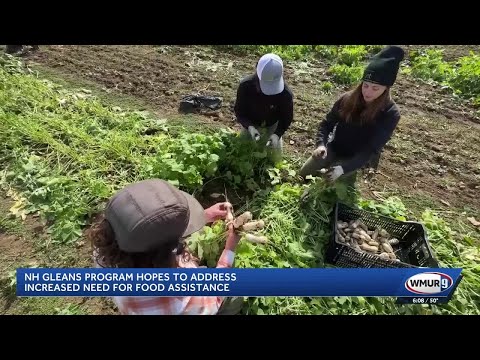 YouTube video thumbnail: NH Gleans Brings Produce to People Who Need It