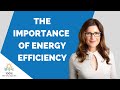 Energy Efficiency and Its Impact