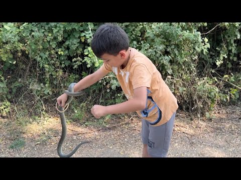 Özgür ün Yılan ile imtihanı 🤭