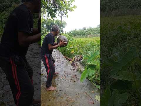 ja ata ki hoye galo #funny #comedy #vairal #video #๐คฃ๐คฃ๐คฃ๐คฃ๐คฃ๐คฃ๐คฃ๐คฃ๐คฃ