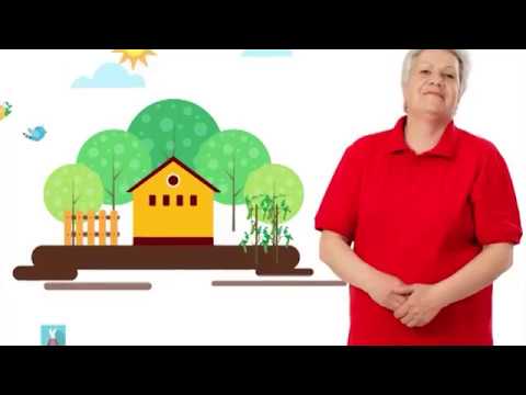 Как избавиться от паутинных клещей