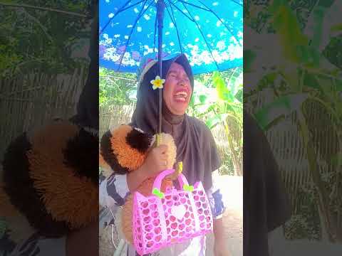 Kakak balas dendam ke adek#shortd#trending #comedy