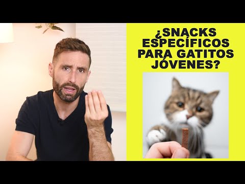 ¿Debo darle snacks/premios específicos adaptados a la edad de mis gatitos jóvenes (5 meses)?