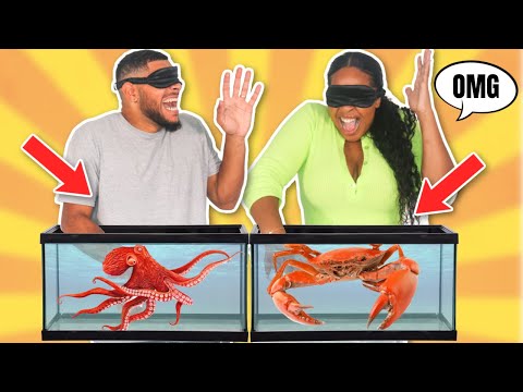 WHAT'S IN THE BOX CHALLENGE ! SOUS L'EAU 🤢🐠