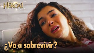 ¿Sobrevivirá Umut? | Hercai